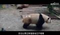 成都动起来,世界看过来