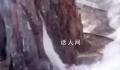 高温天气西安一行道树冒白烟 消防员赶到进行喷水处理