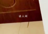 女子称合租遭男室友偷拍 目前的处理结果是对该男子拘留7天