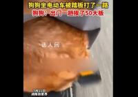 狗狗被电动车踏板打了一路屁股 大家都对它感到心疼