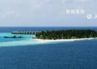 3中国公民在马代溺亡1人被鲨鱼咬伤 背后真相太可怕了
