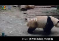 成都动起来,世界看过来