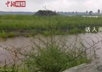 黄德义曾破坏河床挖断能过河的路 黄德义把所有能走的道都挖断了