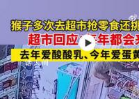 猴子4小时去超市连偷3次 引起了广大市民的关注和讨论