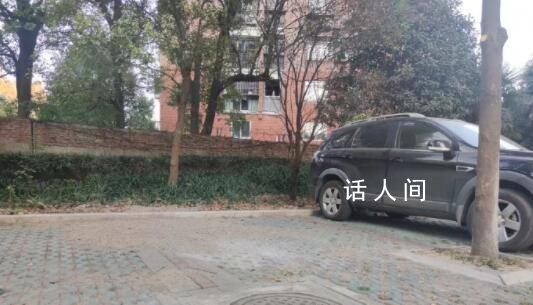 副教授遇害案一审:被告人患精神疾病