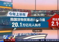 上半年中国经济表现如何?权威分析来了