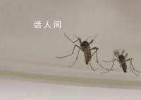今夏蚊子都热死了?官方回应
