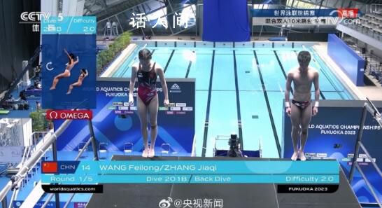 中国队夺世锦赛跳水首金 中国组合张家齐王飞龙凭借稳定发挥
