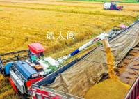 今年夏粮实现丰收 今年全国夏粮产量2923亿斤