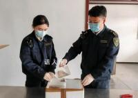 海关查获10只活体巨人蜈蚣 这是世界上体型最大的蜈蚣