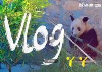 丫丫vlog合集 60秒看丫丫视频直拍
