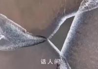 钱塘江出现罕见三叉潮 场面宏大又震撼