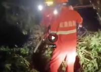 台风致广西北海超400棵树倒伏 排查清障抢险保通等工作仍在紧张进行