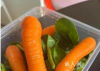 白人饭是什么梗 白人饭是什么意思