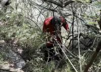 湖南女子为添道菜深山采蘑菇失联 遗体在悬崖下被发现