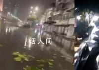 台风泰利登陆:鲸鱼被冲上岸引围观