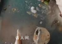 媒体评食堂异物:人员处罚该等一等