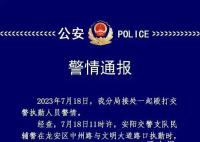 男子当街殴打2名交警 警方通报