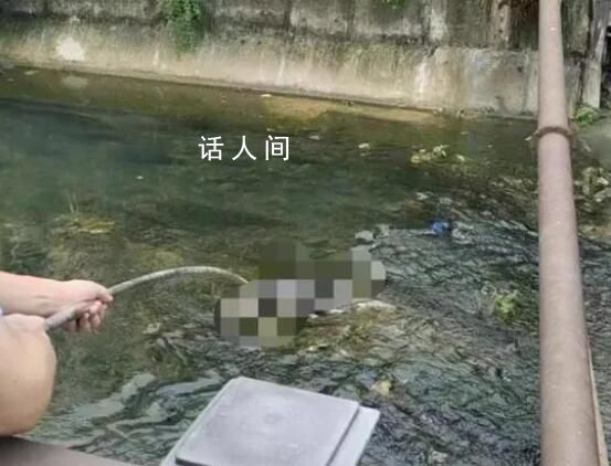 江西一河中惊现碎尸?警方回应