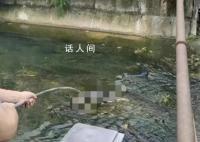 江西一河中惊现碎尸?警方回应