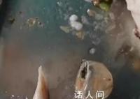 “鸭眼球膜”事件被开除的厨师怎么办