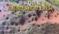 游客用登山杖戳乐山大佛景区石壁 回应：道德层面上不允许