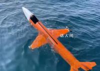男子称海上钓鱼钓到“飞机” 报海警处理了