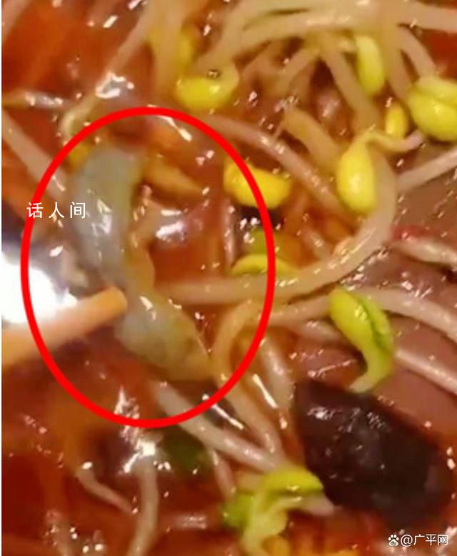 男子称在饭店毛血旺里吃出壁虎 目前一人在住院