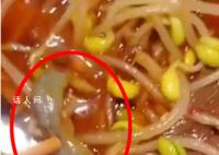 男子称在饭店毛血旺里吃出壁虎 目前一人在住院
