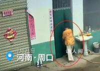 老人进厨房没多久煤气发生爆炸 事故系家中厨房煤气罐爆炸引起