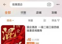 中介称20万就能买国企身份 假冒国企该当何罪