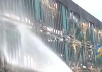 白猪中暑变粉猪119及时解救 五车小猪高速路上接连中暑