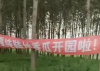 疑城管拔瓜田横幅:种地不能打广告