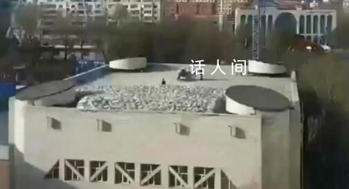 齐齐哈尔体育馆坍塌事故已致10死 尚有1人被困
