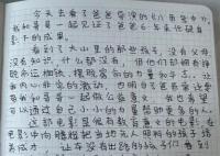 王宝强女儿《八角笼中》观后感 字字显示出对爸爸的爱与崇拜