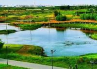 黑龙江多地“大暑”不暑 大暑节气却不是最热的节气