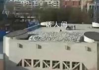 齐齐哈尔坍塌体育馆建于26年前 深入调查仍在进行中