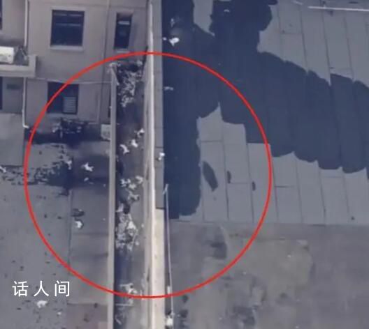 网传天津一小区15只猫被高空抛下 警察和消防队员到现场开展工作