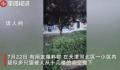 天津一小区15只猫坠亡 警方回应