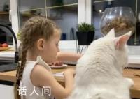俄罗斯一只猫和4岁儿童一样高 有望打破一项世界纪录