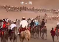 敦煌景区骆驼“罢工”?驼户回应