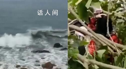 福建现10级风 有树被吹断砸到路人