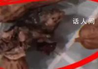 官方通报水煮花生益吃出鼠头 依法依规作出严肃处理