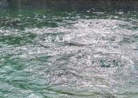 趵突泉水位一夜猛涨9厘米 地下水位跃升至28.75米