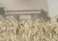 普京:西方“吸尘器”般扫荡粮食