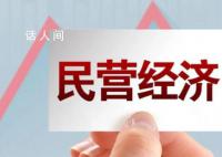 促进民营经济做大做优做强 依法依规为其解难题办实事