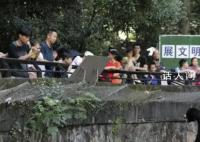 杭州动物园这只熊火了 人里人气的它是世界上最小的熊