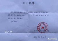 江西一村干部酒后撞死九旬老人 8名干部涉嫌作伪证