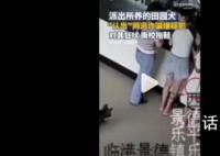 派出所田园犬“认出”嫌疑人 将其当场抓获
