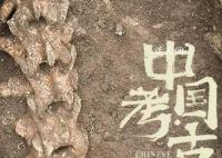 汉文帝霸陵殉葬坑发现大熊猫骨骼 里面埋葬了许多珍禽异兽